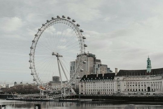 Maximising South Bank Rental Appeal | Hastings International